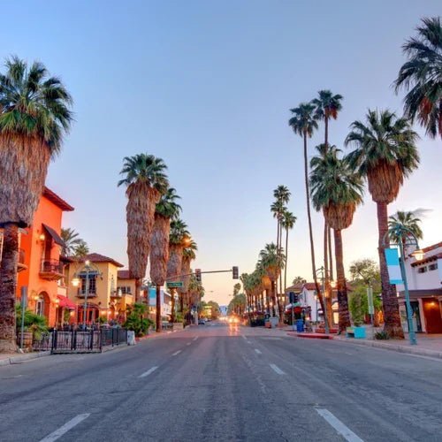 Palm Springs Bachelor Party Guide