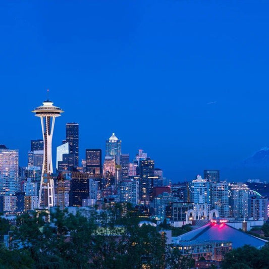 Seattle Bachelor Party Guide
