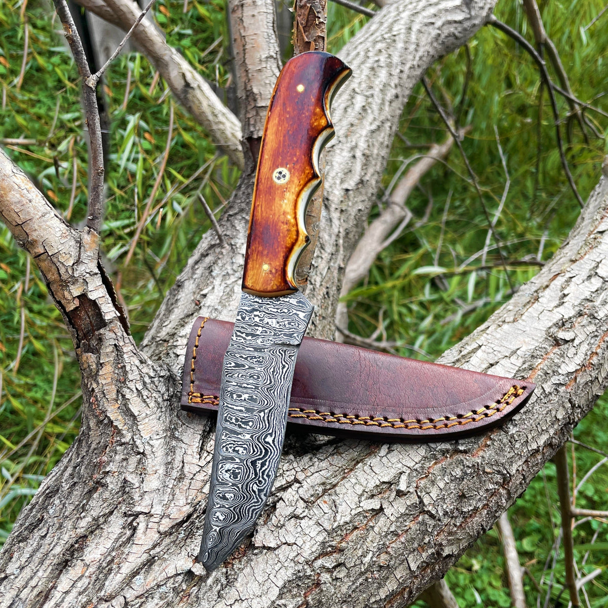 Damascus Knife