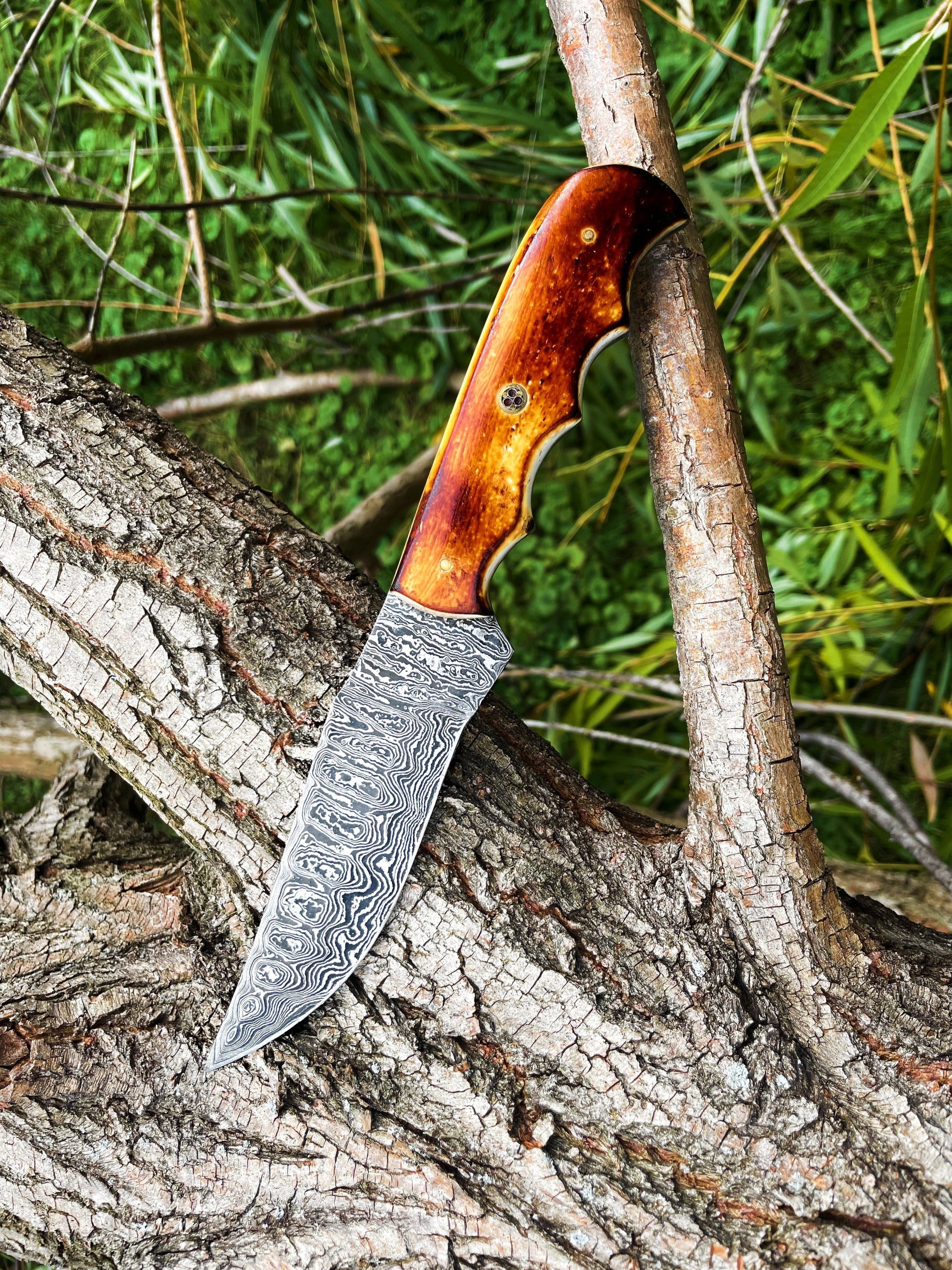 Damascus Knife